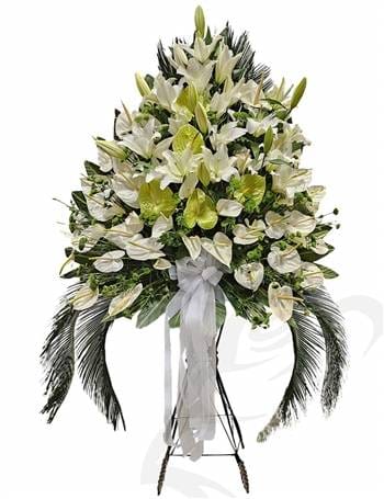فرفوژه