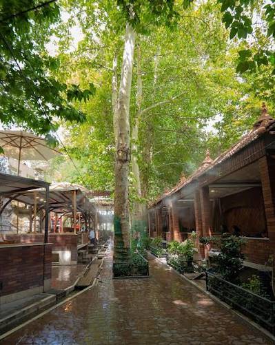 رستوران ارم شاندیز